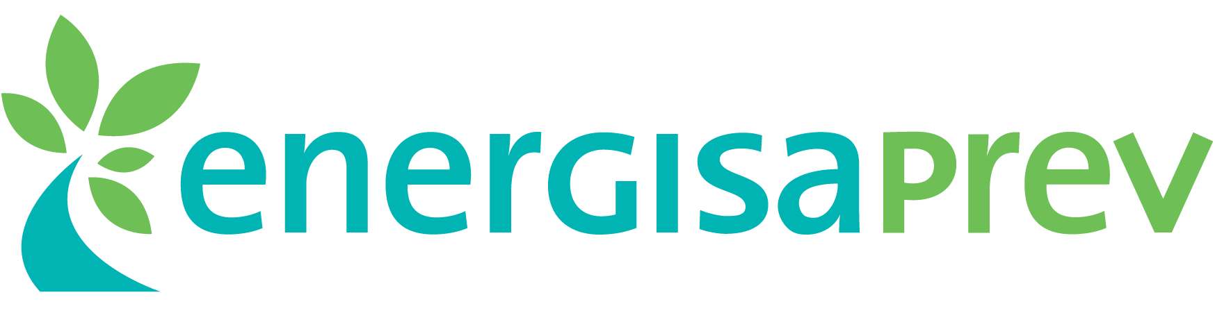 Energisa